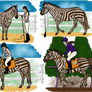 Safari EquiBreak