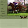 Burr Thoroughbred Society World Class Blood