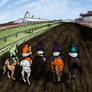 Preakness Pons