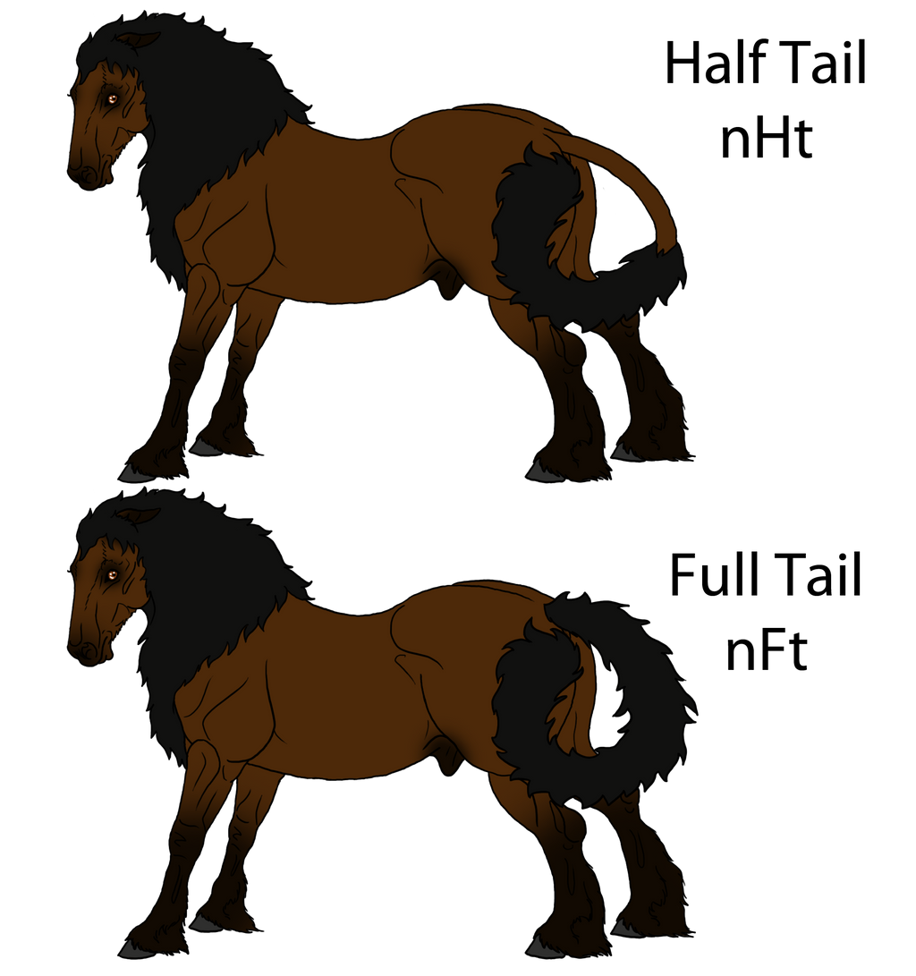 Deviantart Tail Mutation LC Tail Mutations by happy-horse-for-life on DeviantArt