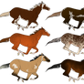 Racehorse Adopts 05 *OPEN*