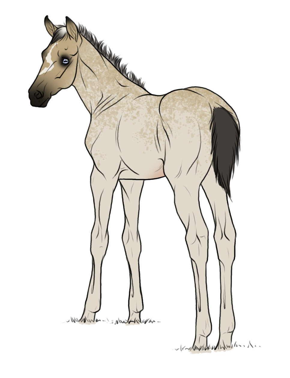 WBS Wonder No More *foal ref*