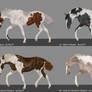 Any Breed Adopts 014 Offer To Adopt *OPEN*