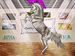 Monroe at QiC by happy-horse-for-life