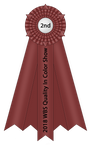 2018 QiC 2nd Place by happy-horse-for-life