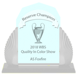 2018 QiC Reserve Champion by happy-horse-for-life