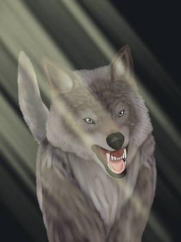 WPF x WBS Storyline P19