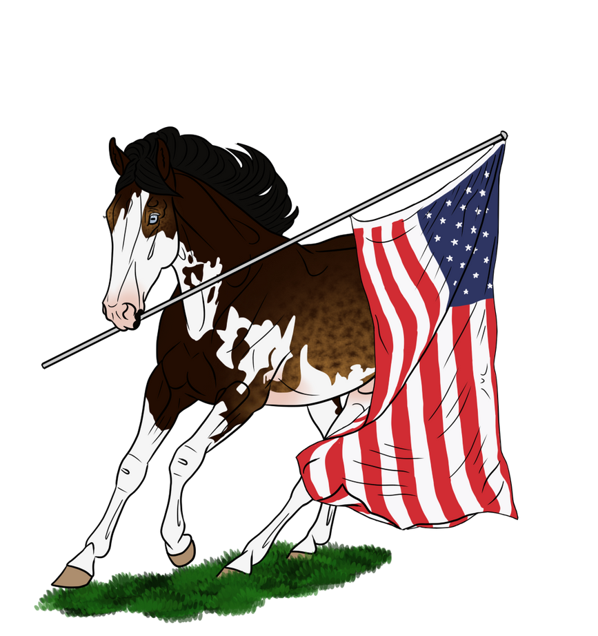 Happy 4th
