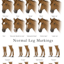 Normal Facial and Leg Markings
