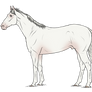 WBS The White Wolf