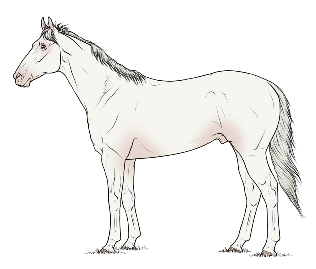 WBS The White Wolf