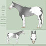 ACR's Silver Snow *RETURNED*