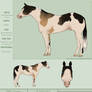 WBS Split'n Calico Wolf