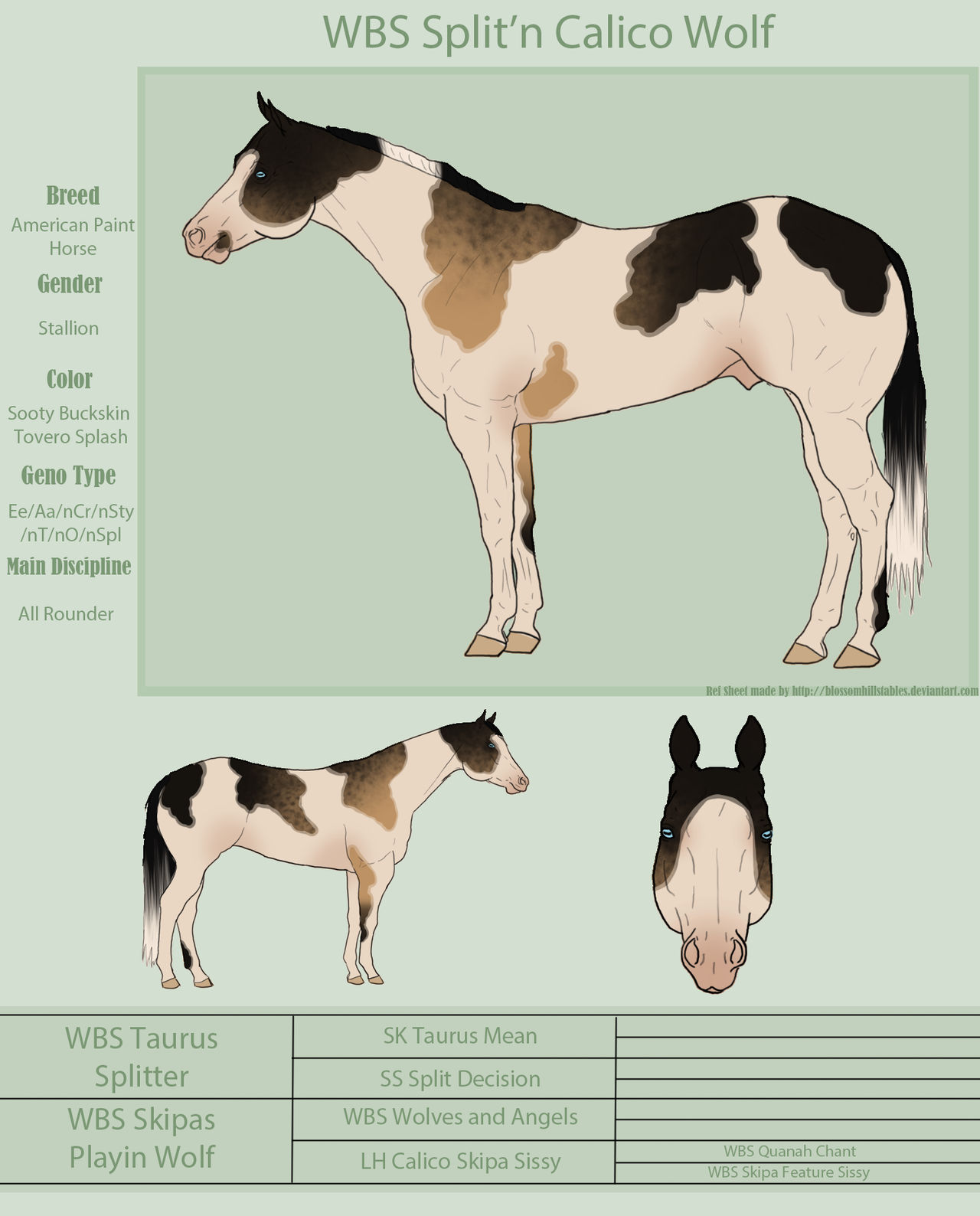 WBS Split'n Calico Wolf