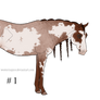 Alcoh Foal Crop *CLOSED*
