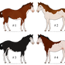 Smack Foal Crop *SOLD*