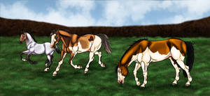 WBS Breeding Partner - Bronze