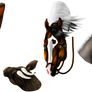 Cow Girls - WBS Weekly