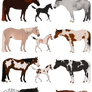 Stock Family Adopts 1 *7/12 OPEN*