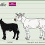 Pangaea Isles Cattle