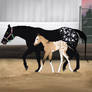 Mare and Foal Adopt - Sired by Shooter