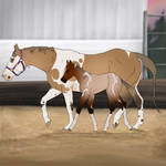 Mare and Foal Adopt - Sired by Flyboy *SOLD*