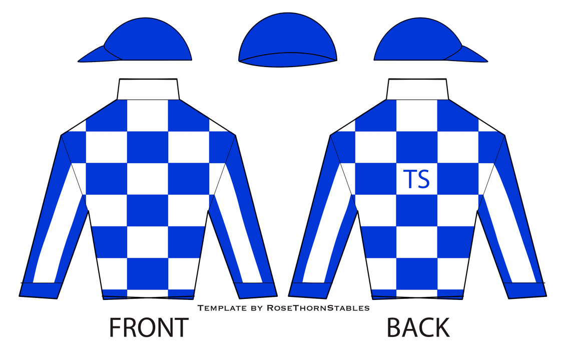 TS Jockey Silks