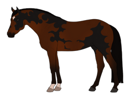 TS Calamity Jane