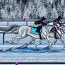 Family Sprint