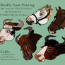 WBS Weekly Team Penning - Flyboy, Precious and Fo