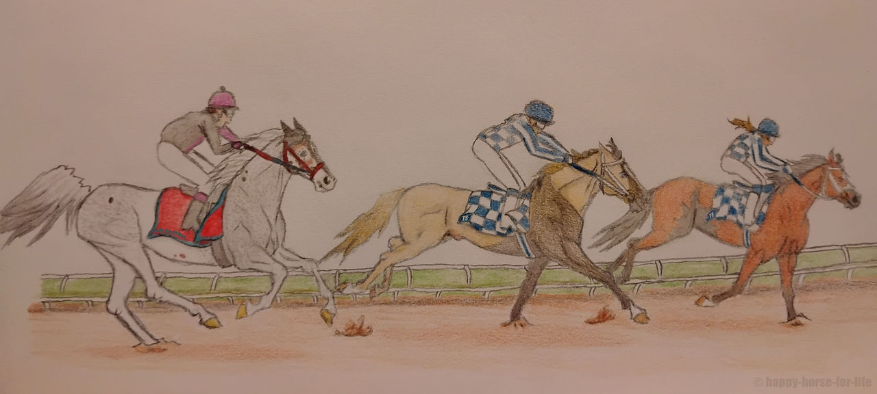2025 TS Breeders' Cup Sprint Training