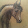 Sketch of horse