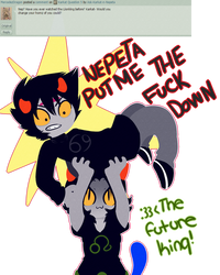 Nepeta Question 7