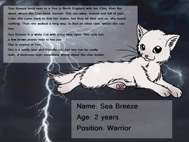 Sea Breeze of the Lightning Clan