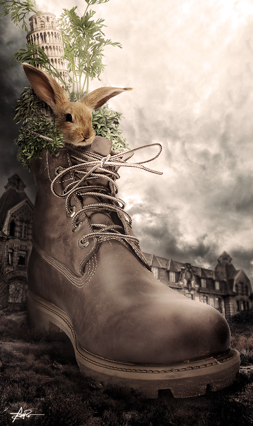 Bunny in A Boot