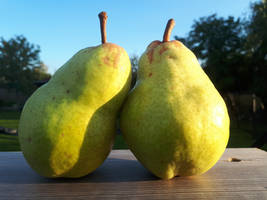 A pair of pears