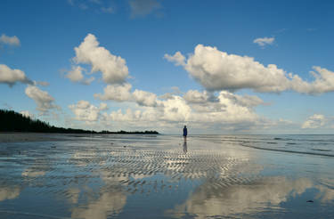 Water Mirror