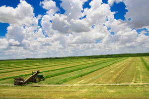 The Tractor in the Field