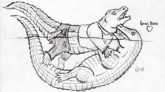 Gator Transformation 4