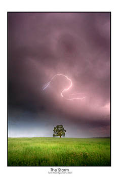 The Storm