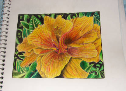 Flower Colored Pencil Practice