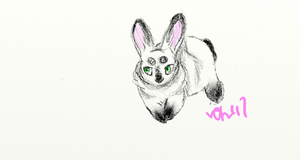 Himalayan by Moonfrostcantdraw on DeviantArt