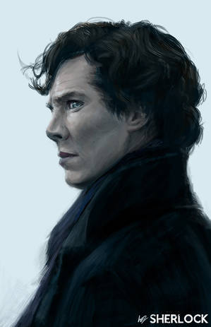 Sherlock - I am not a Hero by W-E-Z Sherlock - I am not a Hero by W-E-Z