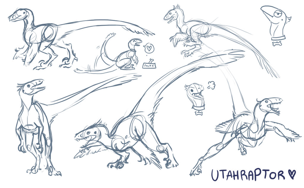 Utahraptor Study by Pimsri on DeviantArt