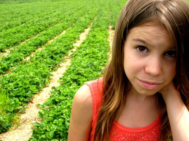 Strawberrie feilds