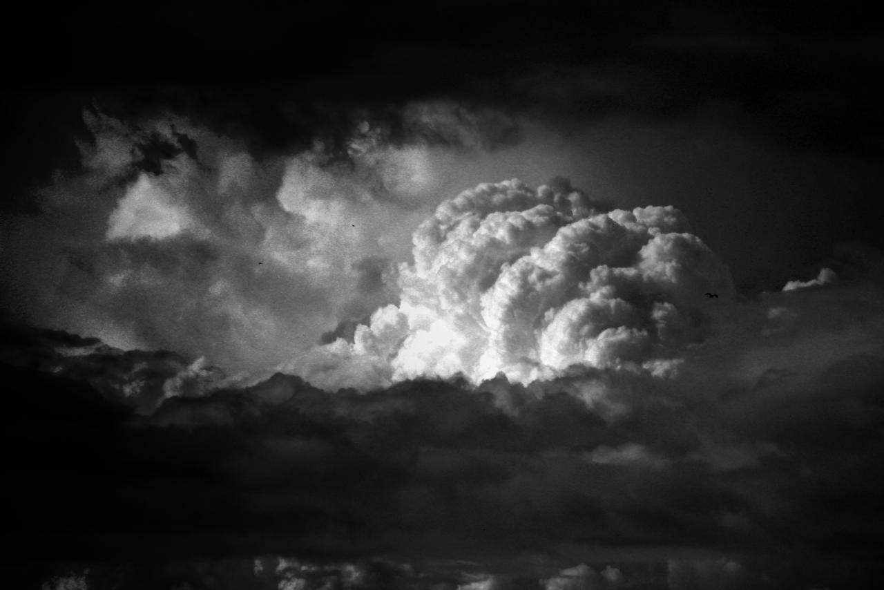 Renaissance by AndreSintenie on DeviantArt