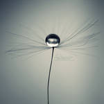 Equilibrium by IndigoSummerr