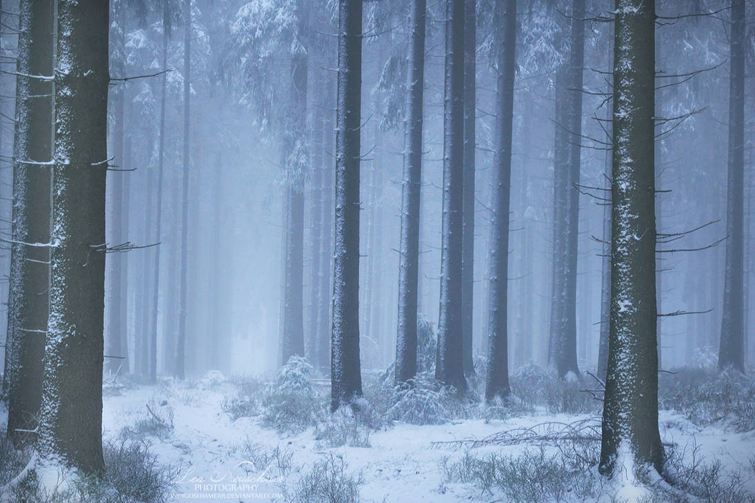 ... by IndigoSummerr ... by IndigoSummerr