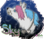 Sky Tag