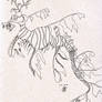 Leafy Sea Dragon